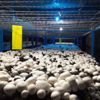 آموزشگاه کشاورزی سامان کشت گستر