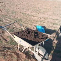 کود ارگانیک ورمی کمپوست|خدمات باغبانی و درختکاری|اراک, |دیوار