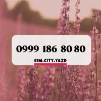 0999.186.8080