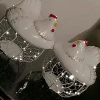 سبدجای تخم مرغ