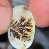 مقداری راف و نگین شجر