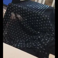 نگین کارهستم