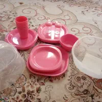 ظرف مسافرتی