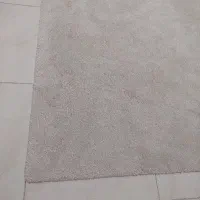 موکت|موکت|بندرعباس, |دیوار