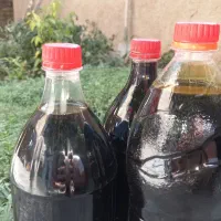 شیره انگور درجه ۱|خوردنی و آشامیدنی|کمیجان, |دیوار