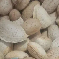 بادام شیرین