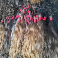 مو۵۵ و ۶۰ سانت