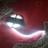 ریسه حلقه ایی نورانی سفیدیخچالی