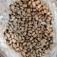 لوبیا چیتی|خوردنی و آشامیدنی|تهران, بوستان ولایت|دیوار