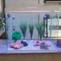 آکواریوم شرکتی شیشه خم دردار درحدنو با کلی وسیله .|ماهی|قزوین, |دیوار