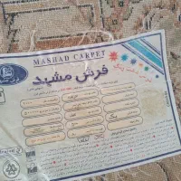 فرش ۶متری|فرش|تاکستان, |دیوار