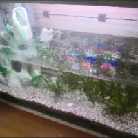 آکواریوم ال ای دی دار با شن و گیاه