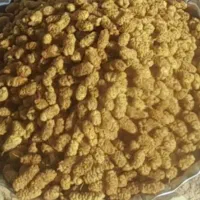 توت خشک درجه ۱ بامشتری راه میام