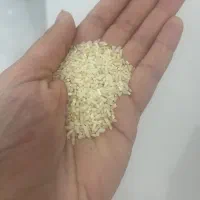 برنج نیم دانه  ایرانی - هاشمی - لشت نشا