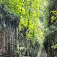 همسفر تنگه واشی