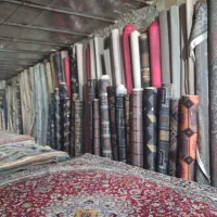 قالی قالیچه گلیم نو ودست دوم