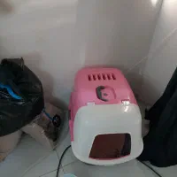 وسایل خانه درختی باکس جای دستشویی گربه و خاک گربه|لوازم جانبی حیوانات|کرج, حسین‌آباد|دیوار