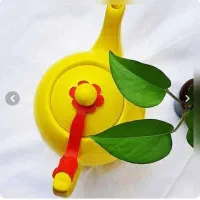 خورده ریز آشپزخانه|سفره، حوله، دستمال آشپزخانه|قزوین, |دیوار