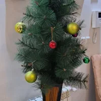 کاج مصنوعی در اندیشه شهرک آ اس پ|گل مصنوعی|ملارد, |دیوار