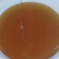 فروش عسل