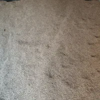 جو بزری|خدمات باغبانی و درختکاری|کبودرآهنگ, |دیوار