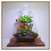 تراریوم صحرا