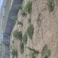 دوربین تحت شبکه سونی دید در شب رنگی|دوربین مداربسته|شیراز, عادل آباد|دیوار