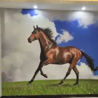 انبار کاغذدیواری|خدمات پیشه و مهارت|اهواز, کیانپارس |دیوار