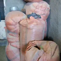 یونجه|لوازم جانبی حیوانات|نورآباد, |دیوار