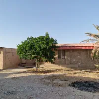 باغ شهری روستای چاه عربی اتوبان بوشهر برازجان|فروش خانه و ویلا|برازجان, |دیوار