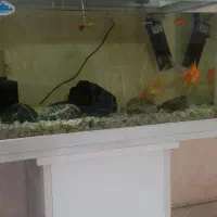 اکاریوم با کلیه لوازم قیمت ۱۵۰۰