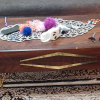 میزتی وی،میزکنارمبلی،میزعسلی۳عدد،نونو|مبلمان خانگی و میز عسلی|عباس‌آباد, |دیوار