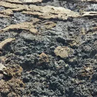 کود آلی فرآوری شده|خدمات باغبانی و درختکاری|آران و بیدگل, |دیوار