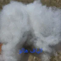 الیاف هالو،سوپر،توپی