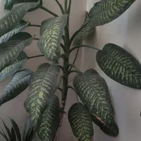 همه چیزدرهم موجوده