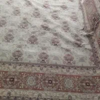 فرش|فرش|تهران, مختاری|دیوار