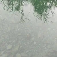 راهنمایی درمورد ابیاری زیر سطحی