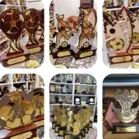 تندیس میناکاری ورزشی رزمی