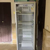 یخچال ایستاده ویترینی برند kino|فروشگاه و مغازه|رامسر, |دیوار