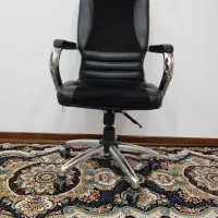 صندلی چرخ دار|صندلی و نیمکت|قم, باغ کرباسی|دیوار