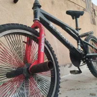 دوچرخه سایز ۲۰ حرفه ای|دوچرخه، اسکیت، اسکوتر|شاهین‌شهر, گرگاب|دیوار