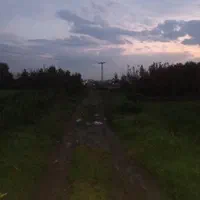 فروش شالیزار 900 متری عینک|فروش زمین و ملک کلنگی|رشت, نخودچر|دیوار