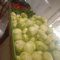 کارگر تره بار برای تهران