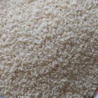 برنج لنجان به شرط پخت