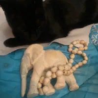 گردن بند و مجسمه از جنس استخوان ماموت