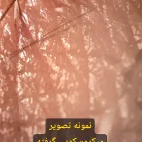 Realme gt3 240W|موبایل|قم, چهار مردان|دیوار