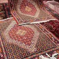 فرش دستباف کوردستان|فرش|سنندج, |دیوار