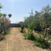 زمین چهار‌دیواری