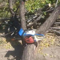 خرید فروش انواع چوب خدمات اره موتور