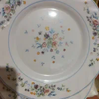پیشدستی و بشقاب آرکوپال